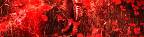 Field - Of Secrets - Maciej Małocha